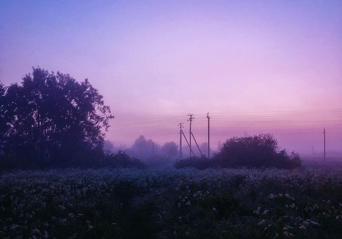 米乐app下载：让生活更懂你的智能助手